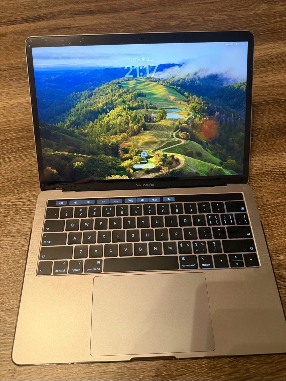Apple Silver MacBook - Aluminum Finish with Black Apple Logo